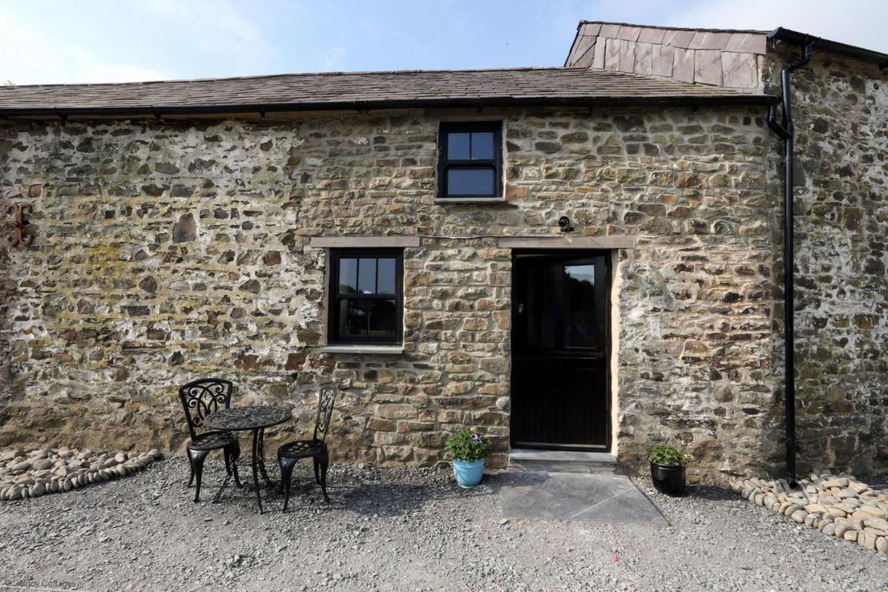 Snuggle Hot Tub Dolgoy Villa Llwyn-Dafydd Exterior photo